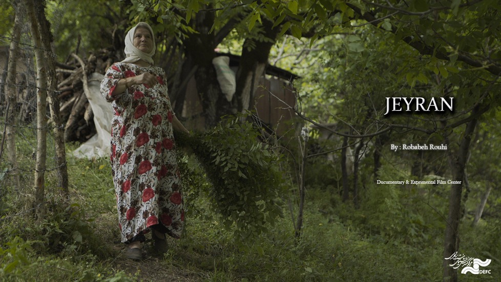 Documentary Jeyran